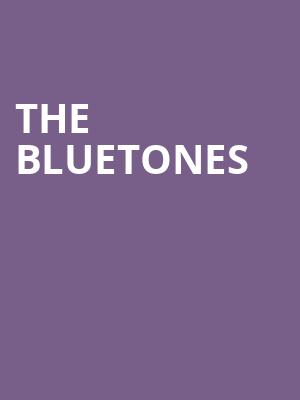 The Bluetones at O2 Shepherds Bush Empire